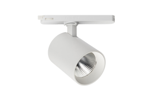 Monte 3 fase railspot · 30W · 3CCT 3000K-3500K-4000K · Wit · 36º